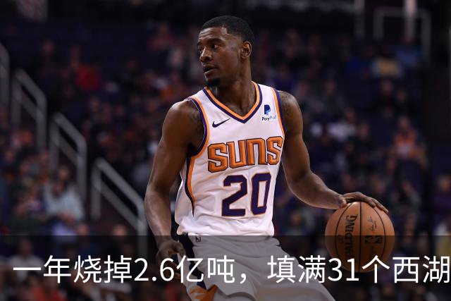 一年烧掉2.6亿吨,填满31个西湖!中国的垃圾,不够烧了?